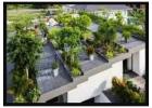 Top Roof Gardening Services In Kolkata