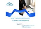 Salesforce Managed Services