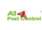 Protect Your Property with A1 Pest Control