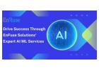 Drive Success Through EnFuse Solutions' Expert AI ML Services