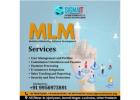 Top multi level marketing software development services Lucknow