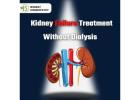 Kidney Problem Medication: Natural Holistic Approaches to Support Kidney Health