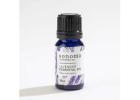 Doterra Essential Oil Lavender