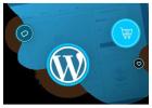 Custom wordpress plugin development | Wordpress plugin development in India