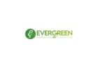 Arborist Tree Service in Calgary – Evergreen Ltd