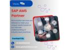 SAP AMS Partner in India