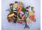 Premium Quality Indian Frozen Seafood Exporter