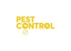 Best Pest Contol Services In Aintree- Termies & Rats