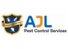 Cockroach Pest Control Hyderabad