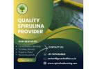 Sustainable Spirulina Cultivation with Green Bubble Algal Works