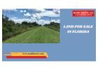 Top Opportunities for Land for Sale in Florida