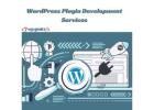 Boost Your Site with WordPress Plugin Development Services