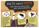 Pest Control Perth, Best Pest Control Services Perth