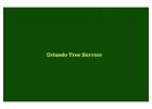 Tree Removal Service Orlando Florida