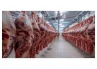  Wholesale Frozen Chickens, Bovine Beef Wholesale 