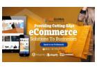 Best Ecommerce Website Design & Devlopment In Dubai