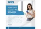 Transform Your Business with WhatsApp Marketing Services by Zapim!