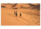 Desert Safari: Ultimate Arabian Adventure in Dubai’s Sands