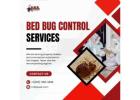 Simple Treatment for Bed Bugs in San Angelo | MDK Services