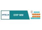 SAP MM Institute in Gurgaon