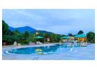 Luxury Resort in Jim Corbett