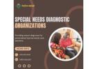 Special Needs Diagnostic Organizations