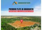 Plots for Sale in amaravathi | Amaravathi Plots 