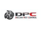 Best Cockroach Control Services in Hyderabad