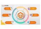 Best  Magento Ecommerce  Devlopment Company In Dubai 