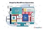 How to Successfully Execute Drupal to WordPress Conversion