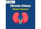 Effective Kidney Problem Medication: Managing and Treating Kidney Disorders