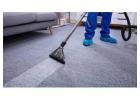 Best Company for Carpet & Couch Cleaning Services – D&G Carpet Cleaning