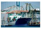 Ocean Freight Forwarder Services in Singapore: Trans Global (S) Pte Ltd