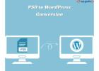 Exploring Tools for Efficient PSD to WordPress Conversion