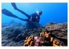 Excursiones de Buceo República Dominicana | Dolindivecenter.com