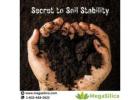 Boost Crop Yield with MegaSilica Organic Soil Conditioner!