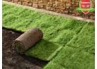 Sydney Turf And Landscaping: Expert Solutions for Your Lawn