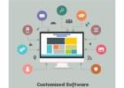 Customized software development 