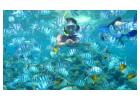 Tour de Snorkel en Isla Catalina Punta Cana | Dominicanaemotion.com