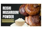 High-Quality Reishi Mushroom Powder