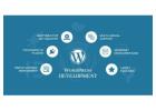 Wordpress development company | Wordpress website developer