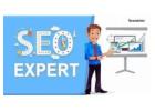 Leading seo services in bangalore