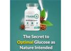 Gluco6 - Healthy Blood Sugar Support Formula 