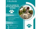 Professional Dog Walking Services in Mumbai