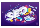 Searching for Expert SEO Services in Dubai?