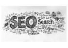 Get Found Online with Noida's Top SEO Agency – Noseberry Digitals