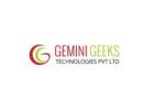 Boost Your Business with The Gemini Geeks – Patiala’s Top Digital Marketing Experts!