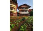 Mahabaleshwar Stay for Family in Winter at Hotel Dreamland