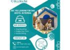 The Best Dog Hostel in Mumbai