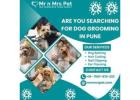 Exclusive Dog Grooming at Home in Pune